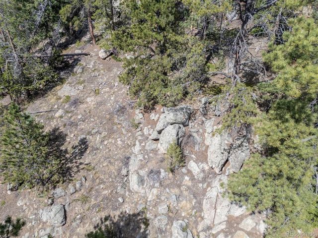 22081 Bardwell Ave, Conifer, CO 80433