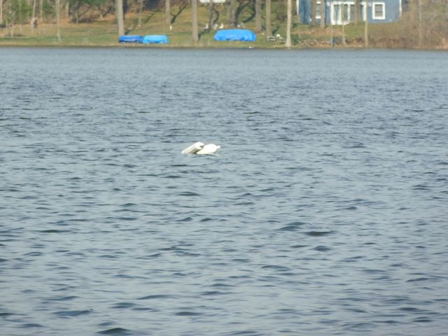 124 Peterson Drive, Cheshire Twp, MI 49055