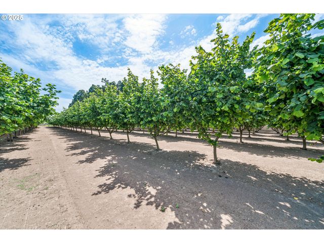 14604 WOODBURN MONITOR Rd, Woodburn, OR 97071