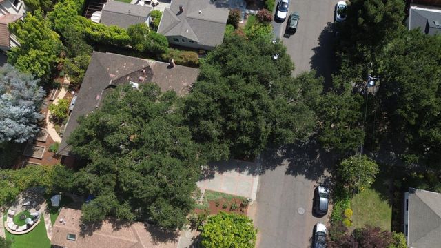 1021 Alegre Avenue, Los Altos, CA 94024