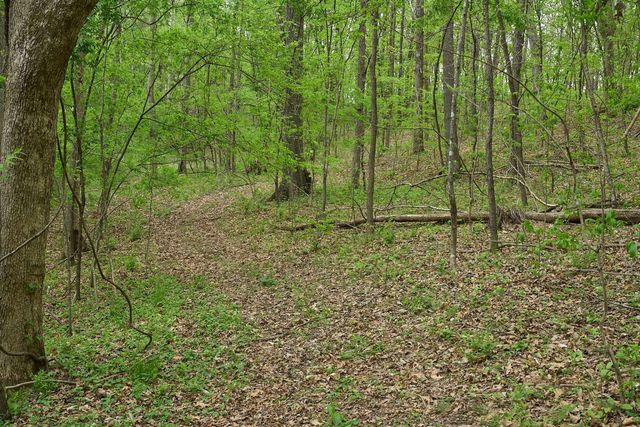 2186 Ingram Rd, Whites Creek, TN 37189
