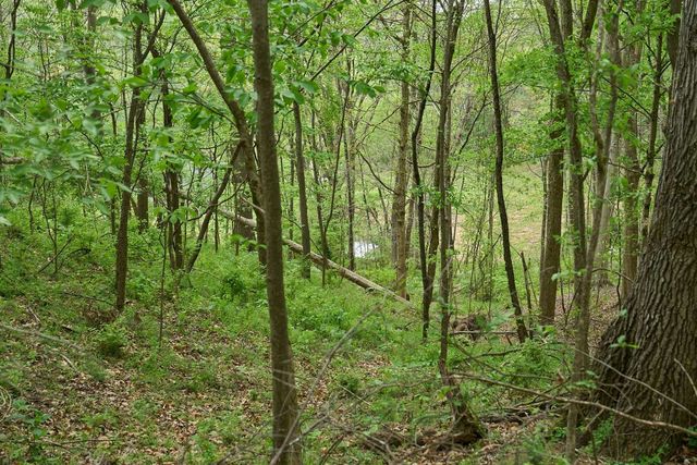 2186 Ingram Rd, Whites Creek, TN 37189