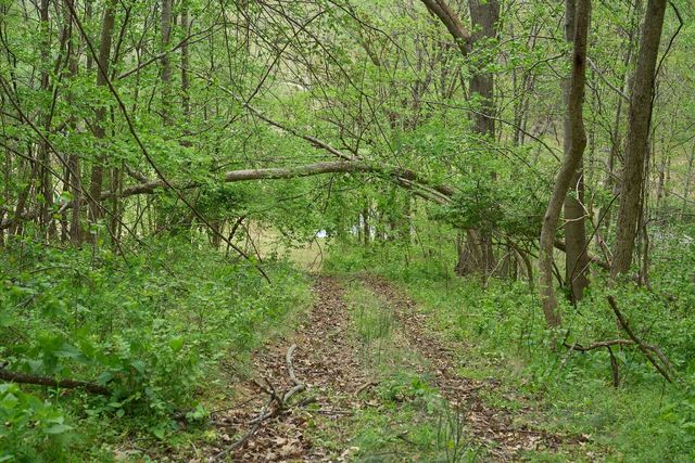2186 Ingram Rd, Whites Creek, TN 37189