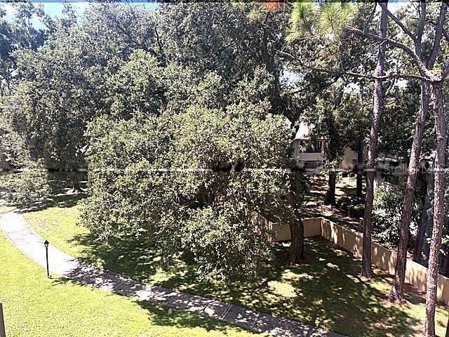 3078 EASTLAND BOULEVARD 307, Clearwater, FL 33761