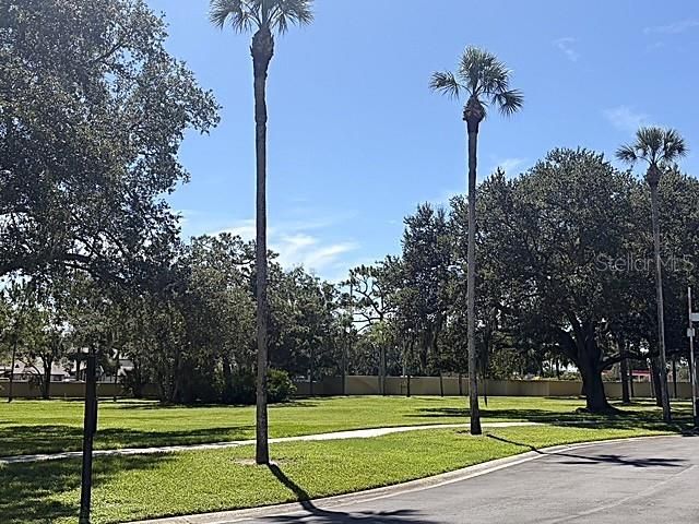3078 EASTLAND BOULEVARD 307, Clearwater, FL 33761