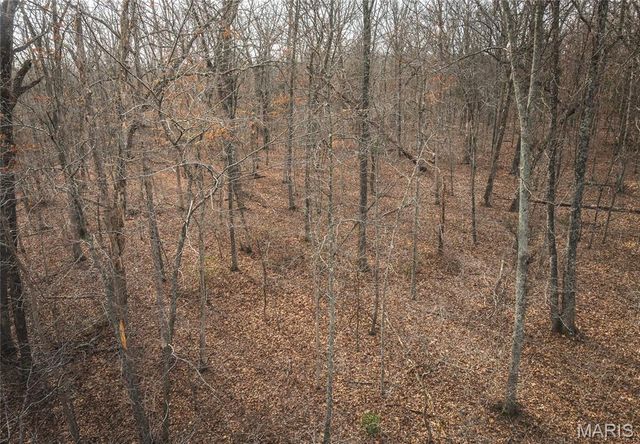 000 County Road 3600 Tract 3, St James, MO 65559