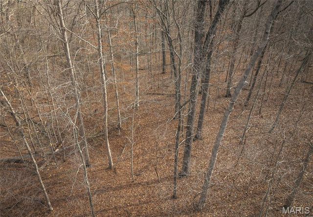 000 County Road 3600 Tract 3, St James, MO 65559