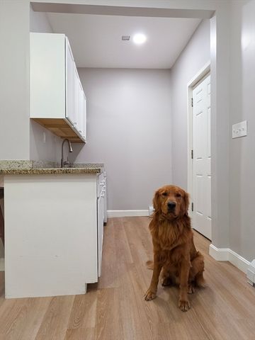 32 Bellevue Street A, Lowell, MA 01851
