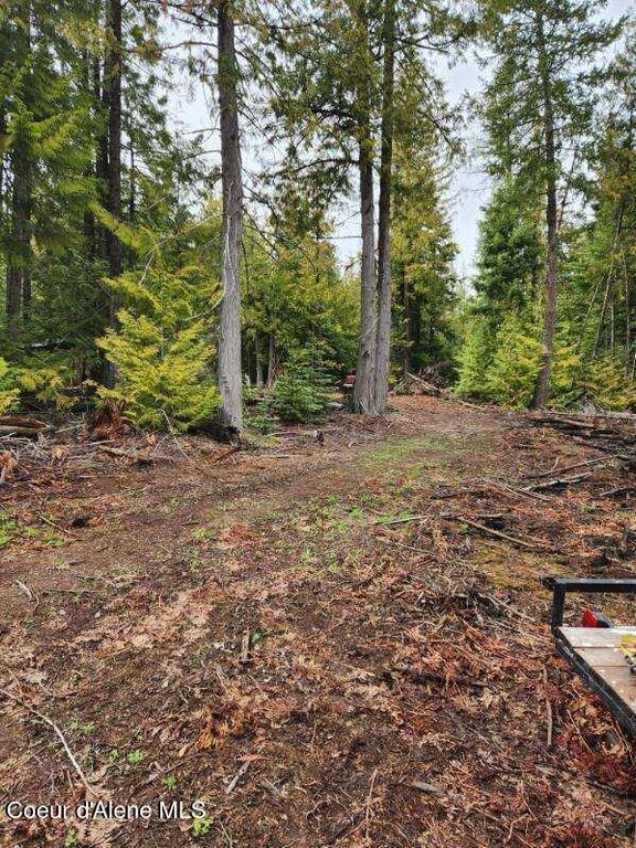 NKA Middle Fork Santa Creek, St. Maries, ID 83861 photo 4