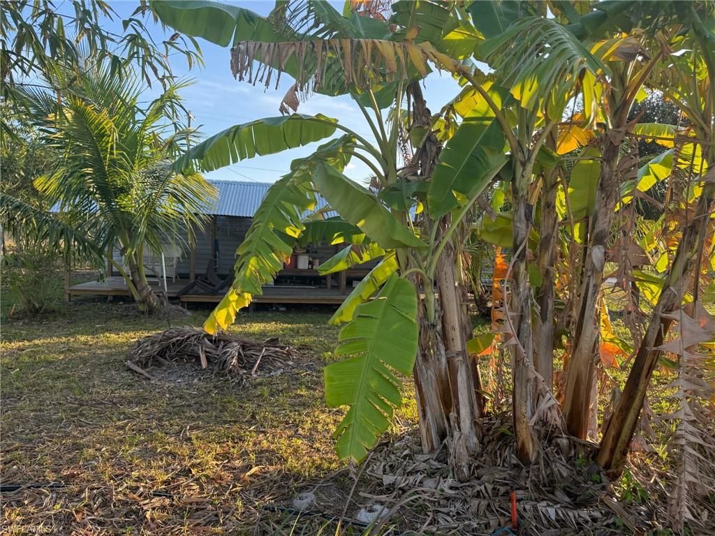 6724 5th RD, LABELLE, FL 33935 — exterior
