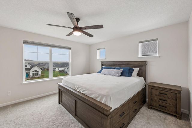 6722 Wildflower Way, Minnetrista, MN 55331