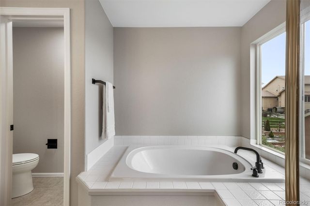 16297 Hobson Place, Monument, CO 80132
