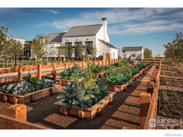 6375 Elk Pass Lane, Loveland, CO 80538