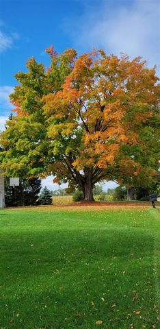 1337 21 Mile Road, Barryton, MI 49305