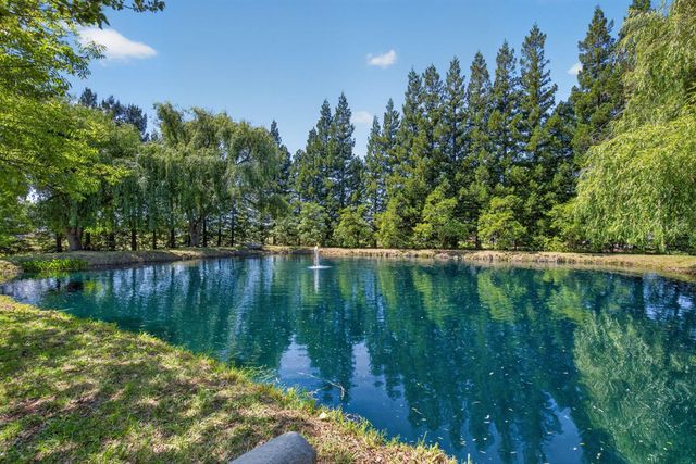 12212 Tavernor Trail Ln, Wilton, CA 95693