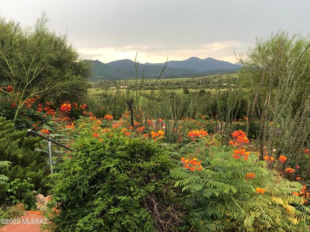 24 Rosete Court, Patagonia, AZ 85624