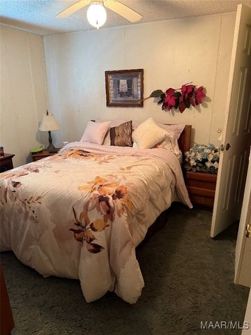 16779 Vaughn Road, Cecil, AL 36013