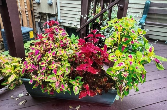 1322 Courtney Drive, Victor, NY 14564