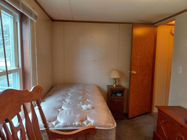 10388 Fisherman Trail, Lake, MI 48632