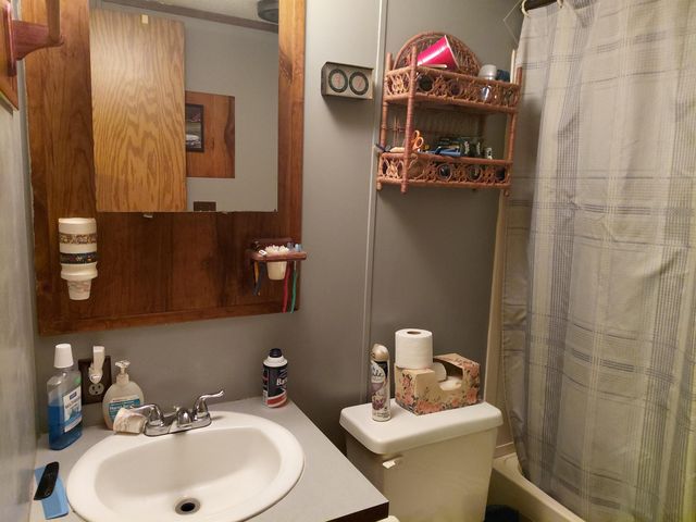 10388 Fisherman Trail, Lake, MI 48632