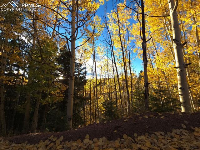 899 Little Topsey Drive, Cripple Creek, CO 80813