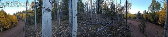 899 Little Topsey Drive, Cripple Creek, CO 80813