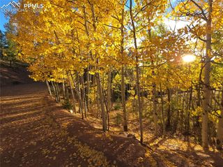 899 Little Topsey Drive, Cripple Creek, CO 80813