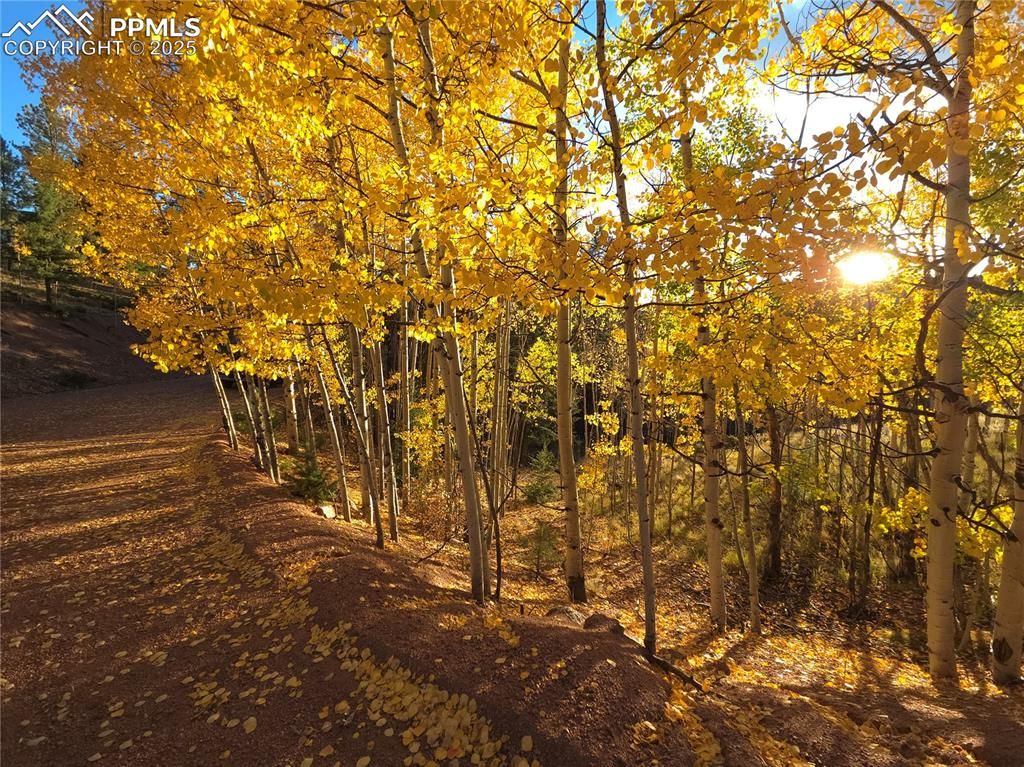 899 Little Topsey Drive, Cripple Creek, CO 80813