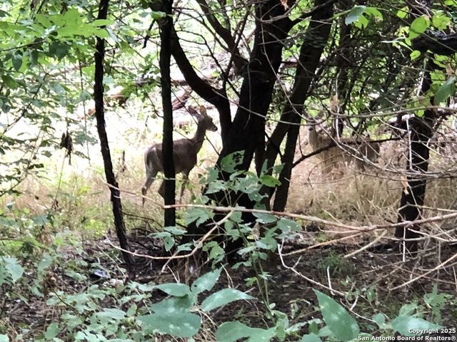 630 Ira Lee, San Antonio, TX 78218