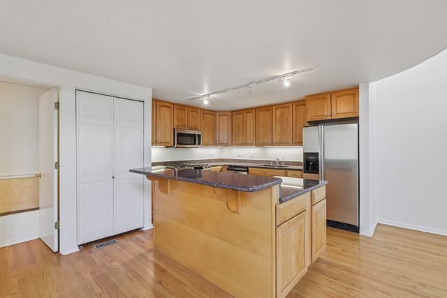 1133 W CORNELIA Avenue B, Chicago, IL 60657