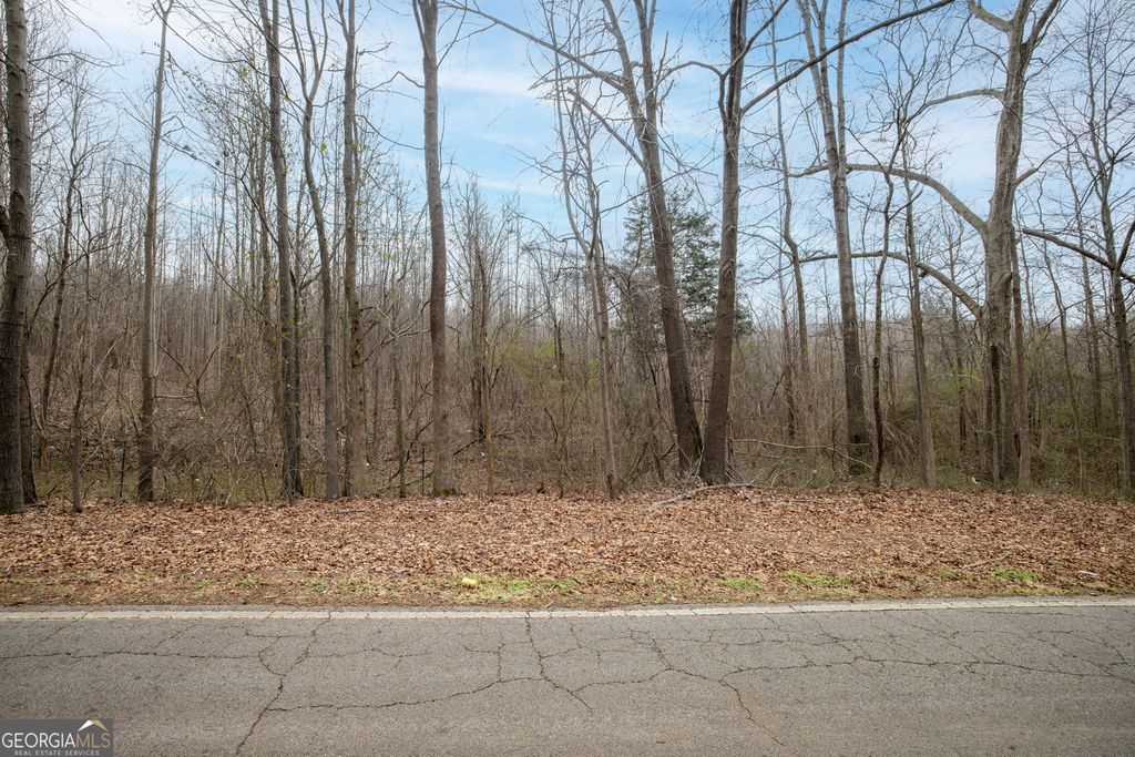 740 Broad River Church Road TRACT B, Eastanollee, GA 30538 — photo 2