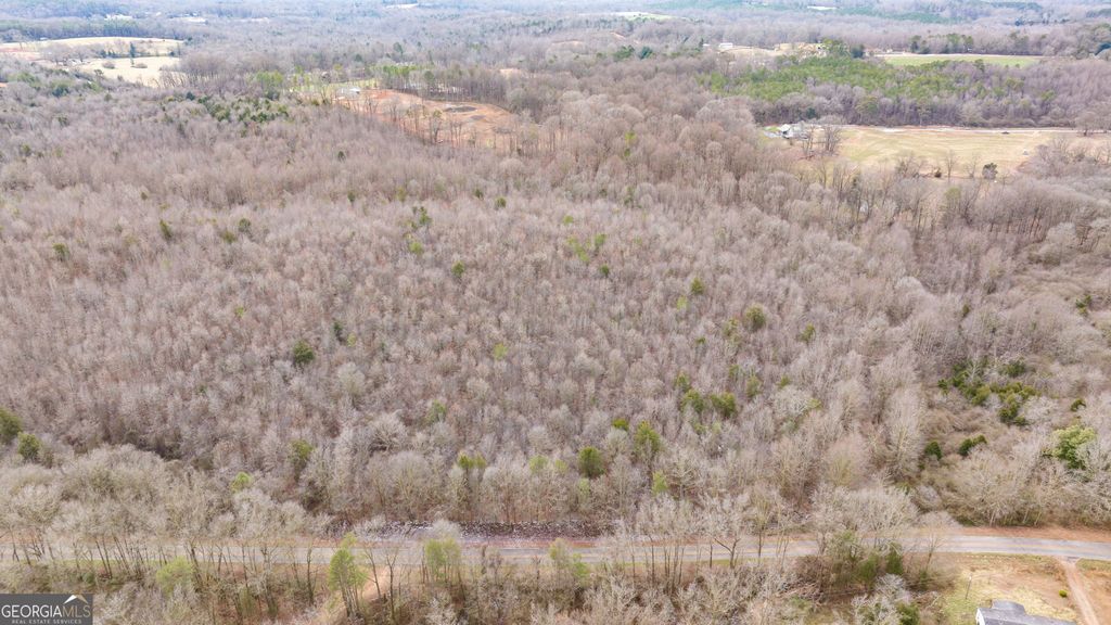 740 Broad River Church Road TRACT B, Eastanollee, GA 30538 — photo 4