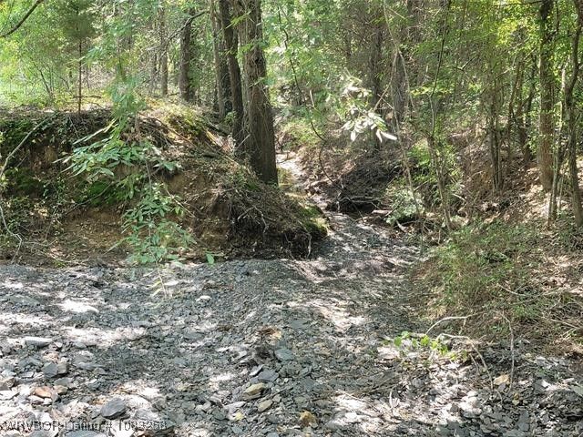 112045 4630 Road, Gans, OK 74936