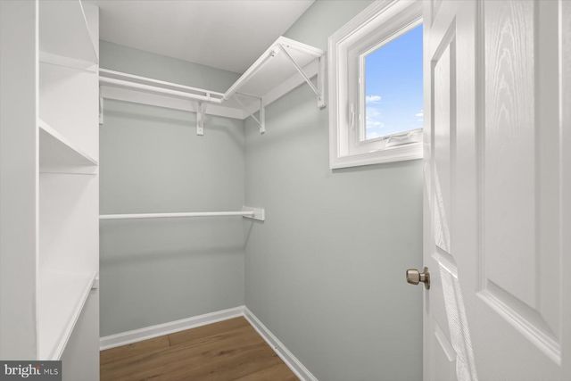 2917 E LEE AVE, Alexandria, VA 22306