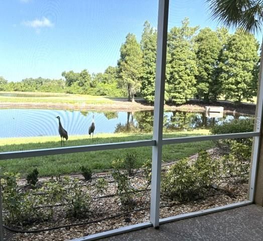 1425 EMERALD DUNES DRIVE 17, Sun City Center, FL 33573