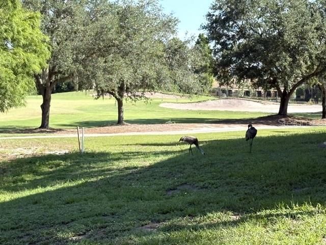 1425 EMERALD DUNES DRIVE 17, Sun City Center, FL 33573
