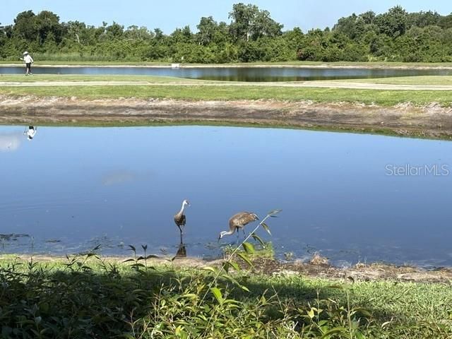 1425 EMERALD DUNES DRIVE 17, Sun City Center, FL 33573