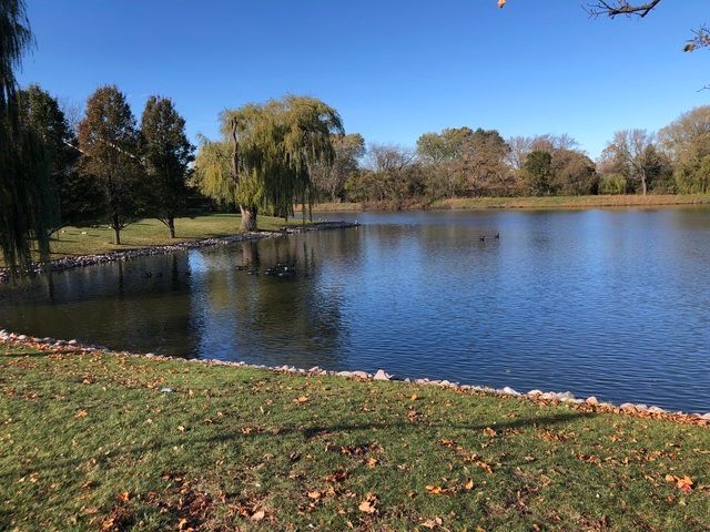 636 Pintail Street, Deerfield, IL 60015