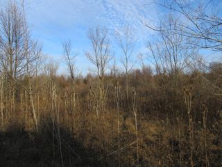 0-Lot 11 Grant Street, Merrillville, IN 46410