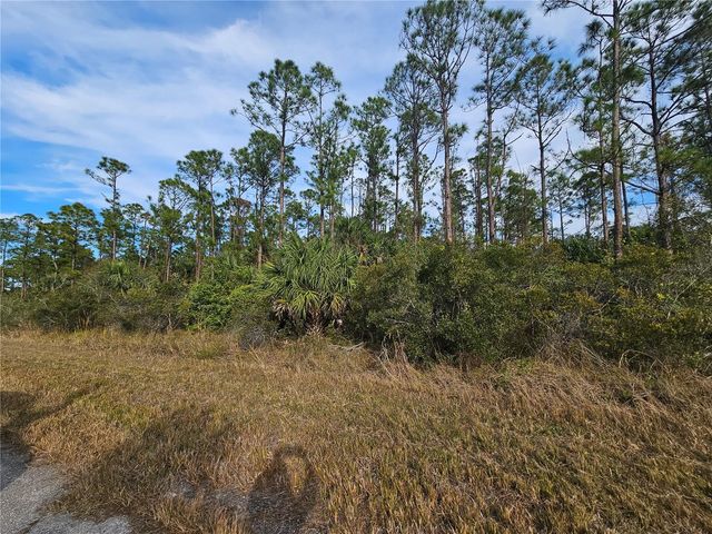 BLUELEAF DRIVE, North Port, FL 34288