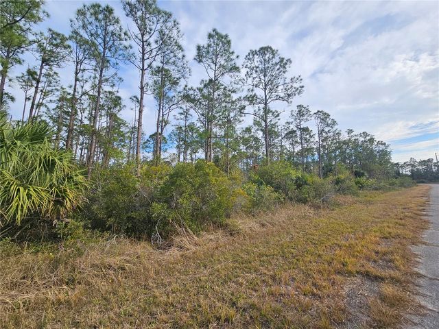 BLUELEAF DRIVE, North Port, FL 34288