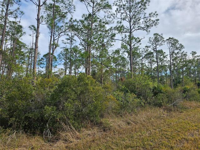 BLUELEAF DRIVE, North Port, FL 34288