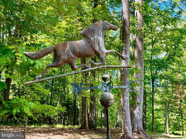 700 BATTLE MOUNTAIN RD, Amissville, VA 20106