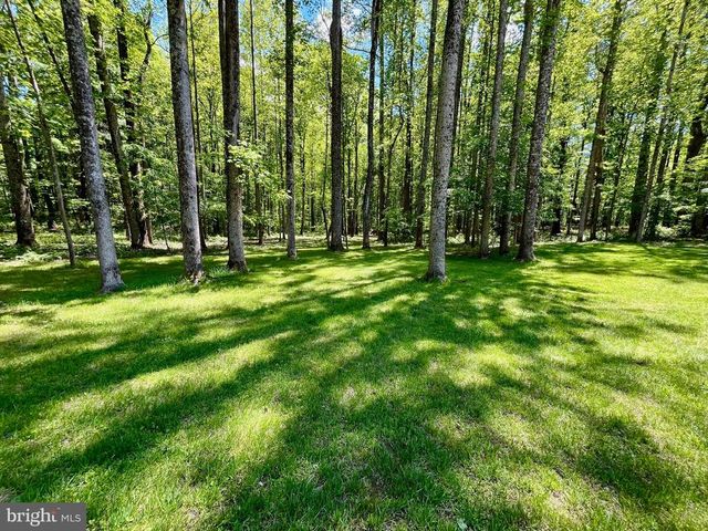 700 BATTLE MOUNTAIN RD, Amissville, VA 20106