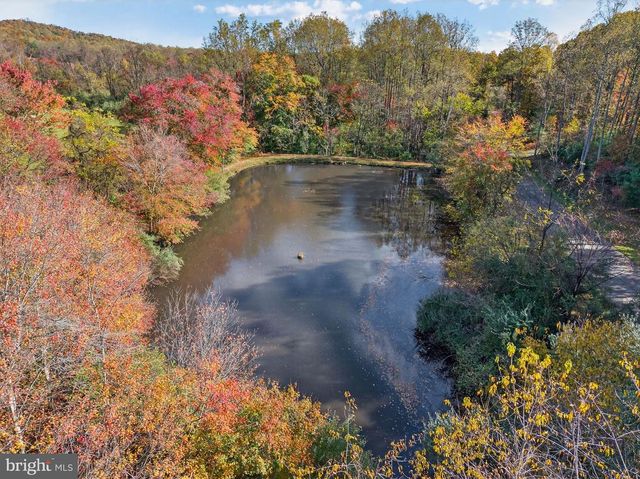 700 BATTLE MOUNTAIN RD, Amissville, VA 20106