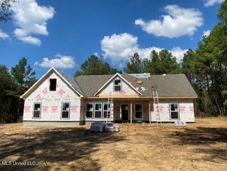787 Pigeon Roost Road, Coldwater, MS 38618