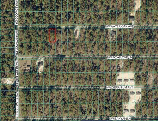 24394 NW WATER OAK AVENUE, Dunnellon, FL 34431