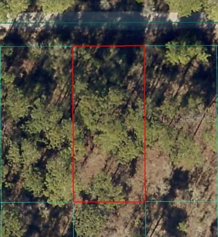 24394 NW WATER OAK AVENUE, Dunnellon, FL 34431