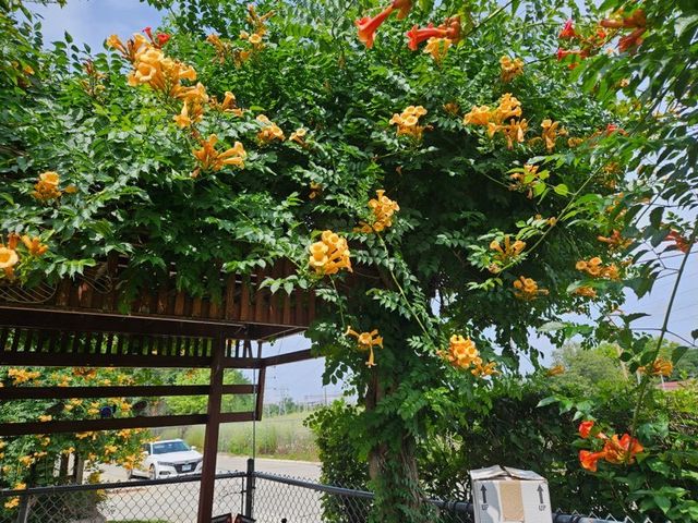 7742 Kolmar Avenue, Skokie, IL 60076