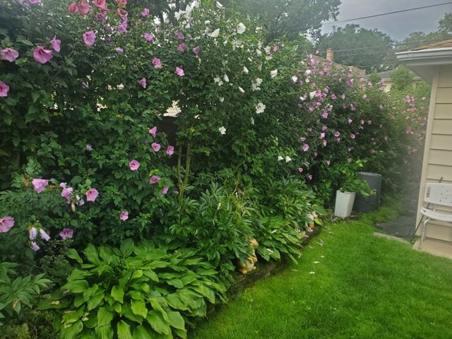 7742 Kolmar Avenue, Skokie, IL 60076